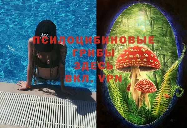 трава Абаза