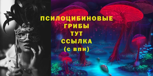 трава Абаза