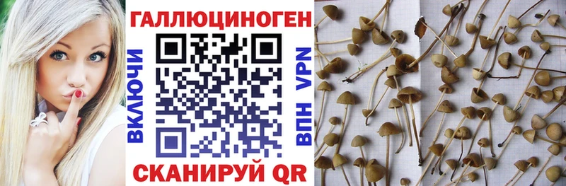 купить наркоту  mega ССЫЛКА  Галлюциногенные грибы ЛСД  Чулым 